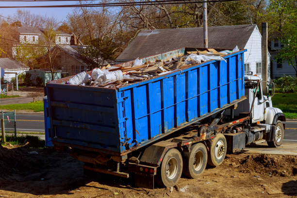 Best Yard Cleanup Services  in Elmira, NY