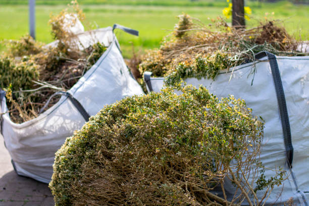 Best Trash Removal Near Me  in Elmira, NY